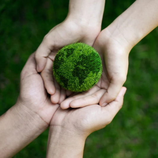 Waste Footprint: What is it and 9 Ways to Reduce it